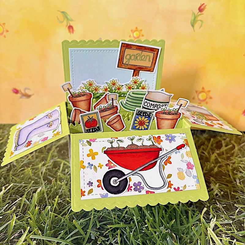 Garden Pop-up Box by Betsy Birge Garden Pop-up Box